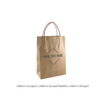 CUSTOM PRINTED Brown Kraft Paper Gift Bag Junior with Twisted Paper Handle - Print Anywhere on Outside