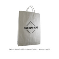 CUSTOM PRINTED White Kraft Paper Gift Bag Medium with Twisted Paper Handles - Print Anywhere on Outside