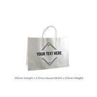 CUSTOM PRINTED Paper Bag White Small Boutique with Twisted Paper Loop - Print Anywhere on Outside