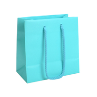 Petite Aqua Matte Laminated Paper Carry Bags (200PK)