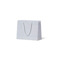 Petite White Matte Laminated Paper Carry Bags (200PK)