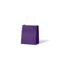 Toddler Passion Purple Carnival Kraft Carry Bags (250PK)